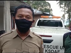 Beruang Madu Muncul di Kelok 44 Agam Resahkan Warga, Perangkap Dipasang