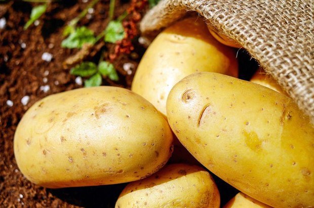 Kentang/Sumber: Pinterest Kentang/Sumber: Pinterest