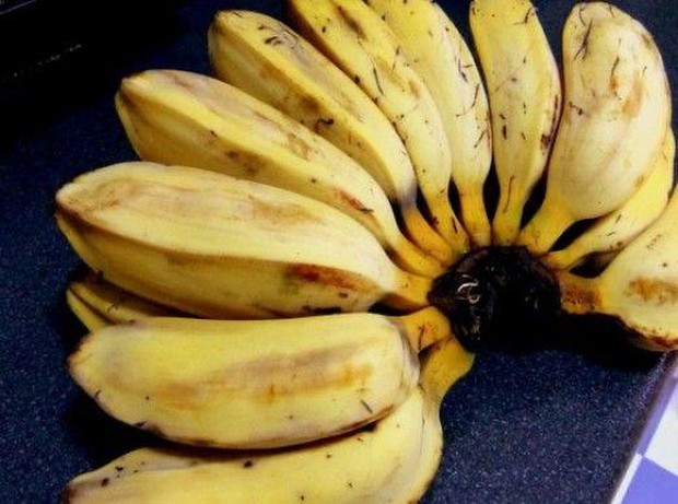 Pisang Raja/Sumber: Pinterest Pisang Raja/Sumber: Pinterest