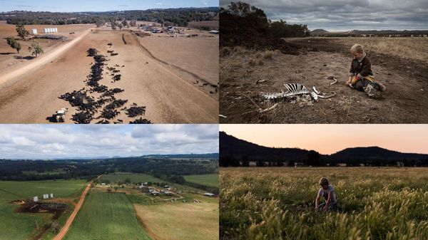 Potret Before-After Lahan Pertanian yang Pulih Dari Kekeringan