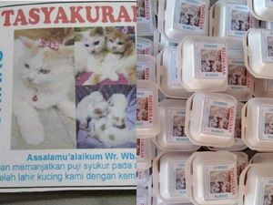 Netizen Gelar Tasyakuran Kelahiran Kucing dengan Berbagi Makanan dan Saweran