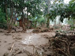 Banjir Bandang Terjang Area Landak River Sumut, Kebun-Penginapan Rusak