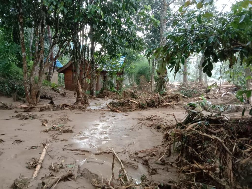 Banjir Bandang Terjang Area Landak River Sumut, Kebun-Penginapan Rusak Banjir Bandang Terjang Area Landak River Sumut, Kebun-Penginapan Rusak