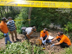 Mayat Bayi Terbakar di Jember Diduga Dibakar Hidup-hidup