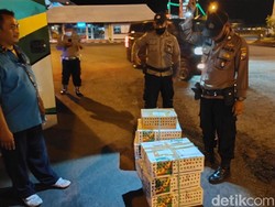 123 Burung Anis Merah Asal Bali Tak Berdokumen Lengkap Diamankan