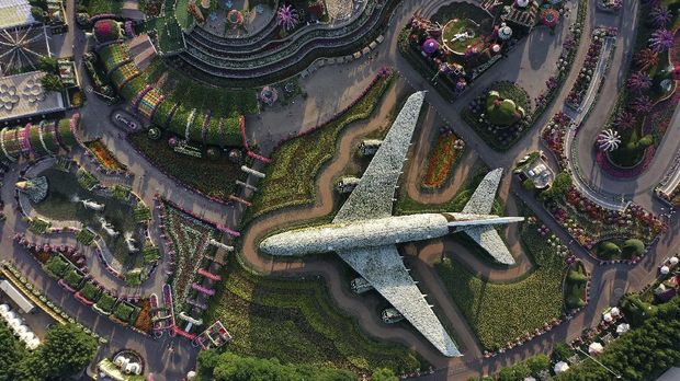 Dubai Miracle Garden An aerial view shows a structure made of flowers of an Emirates Airlines Airbus A380 that made it to the Guinness Book of World Records, at the Dubai Miracle Garden, the world's largest flower garden, in the United Arab Emirates, on November 11, 2020. - The Miracle Garden, home to giant floral structures and millions of flower and plant varieties, is open for visitors from November 1. (Photo by GIUSEPPE CACACE / AFP)