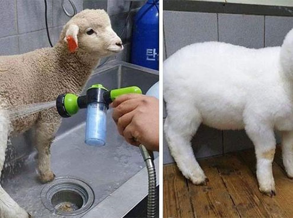 Buat yang Suka Bersih, 10 Foto Ini Satisfying Banget! Buat yang Suka Bersih, 10 Foto Ini Satisfying Banget!