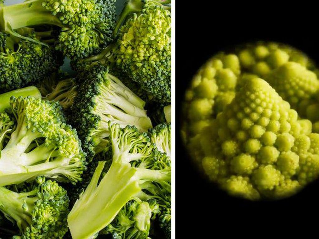 Begini Rupanya Kulit Hiu, Brokoli Hingga Rambut DIlihat Super Dekat