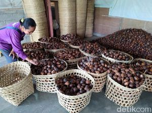 Gara-gara Corona, Petani Magelang Sulit Ekspor Salak