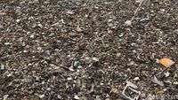 Jorok! Kali Jambe Bekasi Dipenuhi Sampah