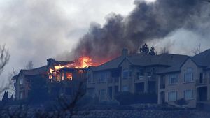 Kebakaran Hutan Nevada Mulai Merambat ke Permukiman Warga