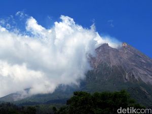 Gunung Merapi Keluarkan Asap Tebal Setinggi 250 Meter Pagi Ini Gunung Merapi Keluarkan Asap Tebal Setinggi 250 Meter Pagi Ini