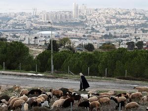 Protes Pembangunan Rumah Yahudi di Yerusalem Timur, Delegasi Eropa Dihadang
