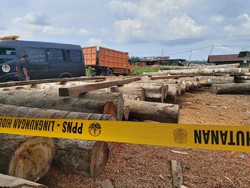 Polisi-KLHK Razia Sejumlah Sawmill di Riau, Ratusan Kayu Ilegal Disegel