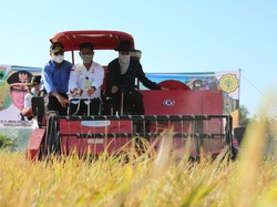 Mentan: 18,5 Juta Ton Beras Akan Tersedia di Januari-Juni 2021