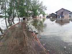 4 Desa di Kabupaten Bekasi Terdampak Banjir Rob, Ratusan Rumah Terendam