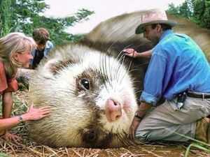 Ketika Karakter Jurassic Park Tak Seram di Tangan Netizen