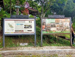 Selama Pandemi, Tak Ada Turis Asing yang Berkunjung ke Taman Eden 100