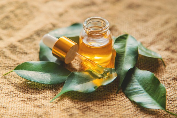 Tea tree oil memiliki kandungan flavonoid yang berperan sebagai antiinflamasi, antiseptik, dan antibakteri. Sehingga, tea tree oil bisa kamu manfaatkan untuk mengatasi cantengan.