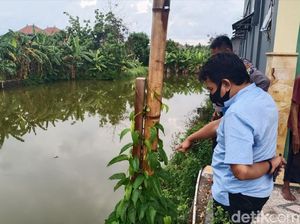 Lepas Pengawasan Ibu, Seorang Balita Lamongan Tewas Tenggelam di Tambak