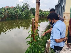 Lepas Pengawasan Ibu, Seorang Balita Lamongan Tewas Tenggelam di Tambak