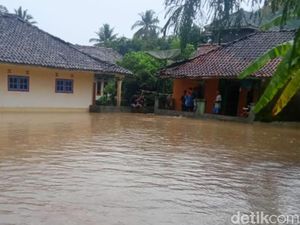 Banjir Rendam 5 Rumah dan Sawah Warga Cilograng Banten