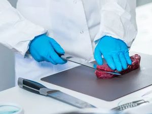 Baru! Steak dari Sel Tubuh Manusia Kini Tengah Dikembangkan