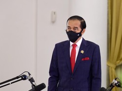 Jokowi Setor 18 Calon Anggota Ombudsman ke DPR, Ada Nama Roby Arya