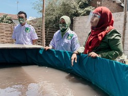 Petani Tambak Bandeng dan Udang Sidoarjo Harus Jadi Tuan di Rumah Sendiri