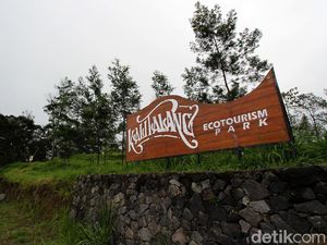 Buat Vlog di Kali Talang Gunung Merapi, Wisatawan Tewas Jatuh ke Jurang