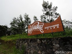 Buat Vlog di Kali Talang Gunung Merapi, Wisatawan Tewas Jatuh ke Jurang