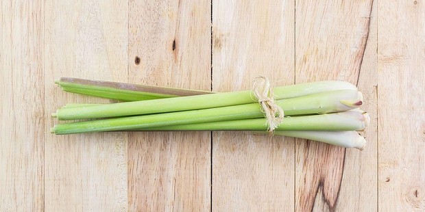 Serai/sehatq.com Bahan Alami Penangkal Nyamuk Adalah Serai/sehatq.com