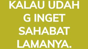 8 Status WhatsApp Netizen Mau Nyindir Tapi Gagal, Malah Bikin Ketawa