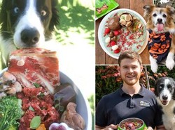 Niat Abis! Chef Ini Bikin Makanan Anjing Seperti Sajian Resto Michelin