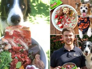 Niat Abis! Chef Ini Bikin Makanan Anjing Seperti Sajian Resto Michelin Niat Abis! Chef Ini Bikin Makanan Anjing Seperti Sajian Resto Michelin