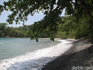 Pantai Teluk Ijo, Gradasi Hijau dan Biru Laut di Banyuwangi Pantai Teluk Ijo, Gradasi Hijau dan Biru Laut di Banyuwangi