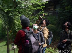 Mengenal Mengenai Teks Laporan Hasil Observasi