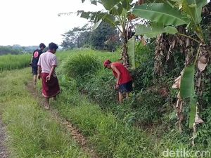 Misteri Uang Puluhan Juta di Parit yang Belum Terungkap Pemiliknya Misteri Uang Puluhan Juta di Parit yang Belum Terungkap Pemiliknya