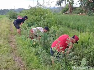 Uang Puluhan Juta Berceceran Ditemukan di Selokan Ini