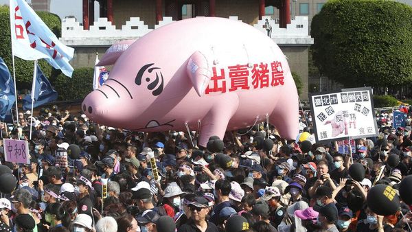 Ada Balon Babi Raksasa di Tengah Aksi Unjuk Rasa Warga Taiwan