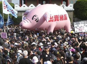 Ada Balon Babi Raksasa di Tengah Aksi Unjuk Rasa Warga Taiwan