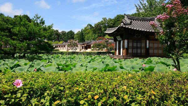 Potret Keindahan Provinsi Gangwon di Korea Selatan