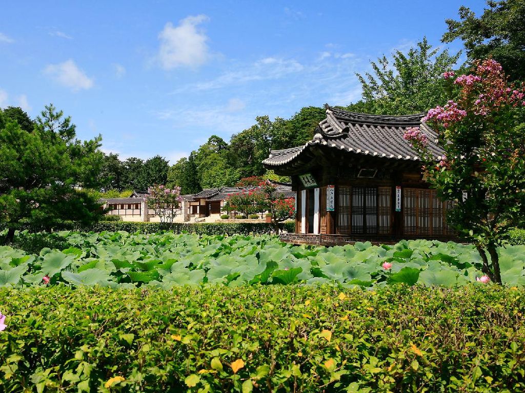 Potret Keindahan Provinsi Gangwon di Korea Selatan Potret Keindahan Provinsi Gangwon di Korea Selatan