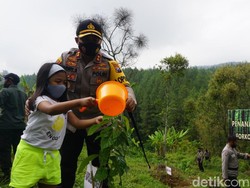 Sejuta Pohon Ditanam di Kaki Gunung Welirang untuk Cegah Bencana Alam