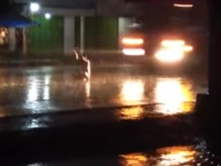 Cerita Viral Pria Hanya Lebam Usai Tertabrak Truk, Namun Tewas Saat Dirawat