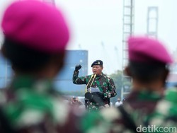 KSAL Akan Bentuk Koarmada RI, Apa Itu?