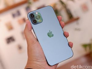 Ajaib! iPhone 12 Pro Tidak Rusak Setelah Jatuh dari Lantai 26 Ajaib! iPhone 12 Pro Tidak Rusak Setelah Jatuh dari Lantai 26