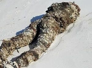 Lagi Bersih-bersih Pantai, Malah Temukan Mayat Tanpa Kepala