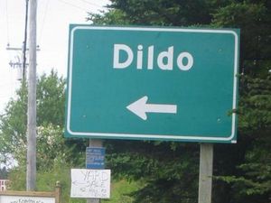 Kota-kota dengan Nama Aneh, dari Dildo, Hell hingga Boring