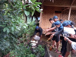Peredaran Madu Palsu Bikin Resah, Ini Sikap Pemangku Adat Baduy